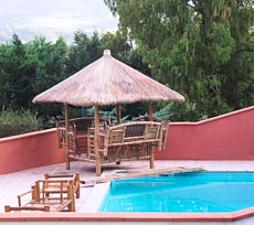 Paillote Perrellos avec toit en chaume au bord d'une piscine